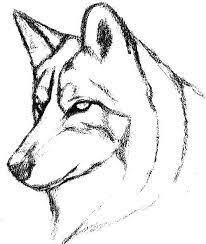 The best selection of royalty free wolf vector art, graphics and stock illustrations. Online Coloring Pages Coloring Page Wolf Wolf Face Download Print Coloring Page