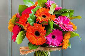 It would be great if you could send him flowers just like he does for you, but is it okay to send flowers to men? Do Men Like Flowers Is It Okay To Gift Flowers To Men