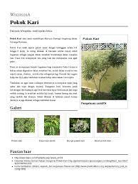 Pengenalan ~~~~~~~~~ sejenis tumbuhan renek yang daunnya diambil untuk tujuan bahan masakan terutamanya masak kari. Pokok Kari
