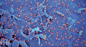 食肆疫苗氣泡 料最快後日實施 12政府停車場續凍價一年 10日前打齊兩劑科興 公院醫生猝亡 去年書展延至今年7月舉行 港府撥款千萬援610參展商 走. 4ilovdronupp M