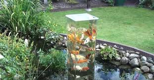Maybe you would like to learn more about one of these? Tips For Koi Ponds Maintenance