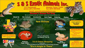 Exotic pet store or a reptile warehouse located in a business suite. S S Exotics Pet Store Houston Texas Catching Marbles