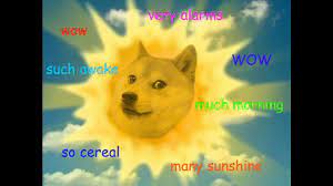 95,835 likes · 931 talking about this. Doge Meme Ein Hund Aus Japan Erobert Das Internet