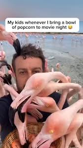 Some memories deserve more than a post and a caption. They deserve a home.  📚 Future you will thank you—make yours with Mixbook. #Mixbook #photobooks  #futureyou #memorykeeping