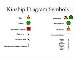 A Useful Chart Of The Basic Key To A Kinship Chart Or