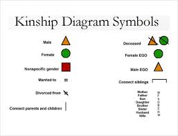 a useful chart of the basic key to a kinship chart or