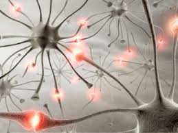 She wouldn't have left if you had said you were sorry. Fda Approves At Home Test For An Alzheimer S Disease Risk Gene What You Need To Know