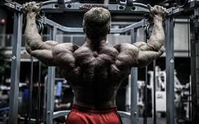 You're going to lift as hard as you can,. John Meadows His Journey To The Arnold Brand Back Workout