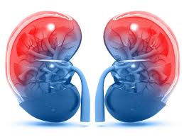 diabetic nephropathy symptoms stages causes and treatment