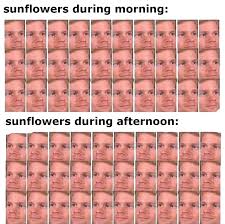 Imagine Staring At The Sun For The Whole Eternity In 2020 Stupid Funny Memes Stupid Memes Funny Relatable Memes