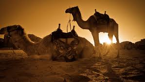 All the interested candidates can submit their ap… The Hijrah History And Living Lessons