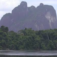 Image result for Rhodopentas bussei