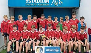 Powerstown Boys capture county crown with win over Golden