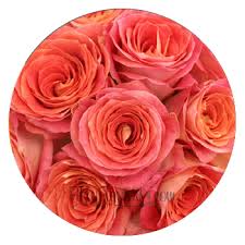 Choose from hundreds of arrangements, roses, balloons all products flowers roses plants balloons teddy bears fruit baskets gift baskets chocolate farm fresh wine faux flowers cookies. Where To Buy Bulk Flowers Online For Your Wedding