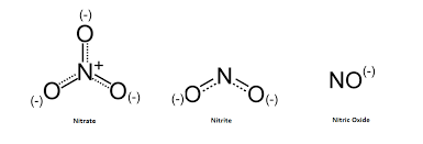 Nitrate Supplement Science Based Review On Benefits