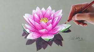 Water Lily Drawing A Water Lily With Simple Colored Pencils Lotus Flower Colors Flower Drawing Lily Drawing