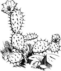 It contains photos of varieties of cactus and big rock formations. 700 Free Desert Illustrations And Graphics Pixabay Pixabay