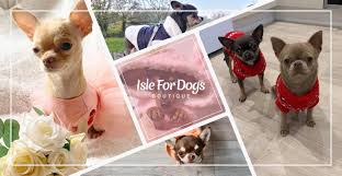 Pet pavilion two in one shampoo. Isle For Dog Boutique Home Facebook