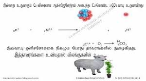 What does carbon dating mean? 12 à®µ à®¤ à®¯ à®¯à®² Carbon Dating In Tamil à®•à®¤ à®° à®¯à®• à®• à®• à®²à®® Youtube