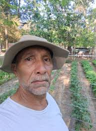 When I cut open my spaghetti squash part of it is green. Is it ok to eat?