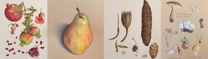 Pro togo, chi pisma beregla. Testimonials Draw Botanical Llc