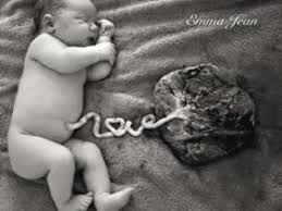 Setidaknya ada satu usaha kecil yang anda lakukan dalam 8 cara agar kucing tidak memanjat mobil yang tercantum di atas. Penanganan Plasenta Lengket Dan Tertinggal Dirahim Saat Persalinan Luvizhea