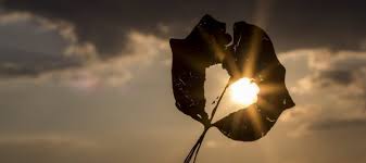 Je sais ce que c'est de se faire larguer. Je Me Suis Fait Larguer Comment Demarrer Sa Reconquete