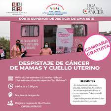 Campaña de despistaje de Cáncer de Mamas y Cuello Uterino - Campañas -  Corte Superior de Justicia de Lima Este - Plataforma del Estado Peruano