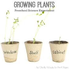 Fun ways to explore flowers with your students! Science For Kids Growing Plants Experiment Pre K Pages