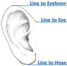 You'll begin with an introduction to the secrets of drawing and then move on to learn the elements of art, value and its relationship with drawing, and more. Drawing Realistic Ears Drawings Realistic Ears Drawing Realistic