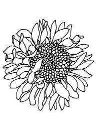 Head Of Sunflower Coloring Page Free Printable Coloring Pages Printable Flower Coloring Pages Sunflower Coloring Pages Sunflower Stencil