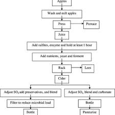 2 Flowchart Of Typical Steps And Procedures In Modern Cider