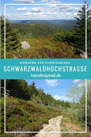 Von Der Hornisgrinde Dem Hochsten Berg Im Nord Schwarzwald Hast Du Eine Herrliche Aussicht Uber Den Schwarz Schwarzwald Schwarzwald Urlaub Wandern Schwarzwald