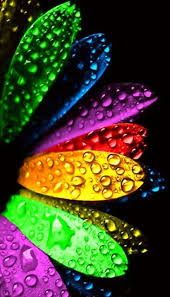 Rainbow Leaves With Raindrops Lock Screen Wallpaper Background For Iphone And Android I Best Iphone Wallpapers Cool Iphone Wallpapers Hd Hd Phone Wallpapers