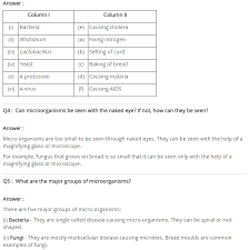Ncert Solutions For Class 8 Science Microorganisms Friend And Foe Class 8 Science Solutions