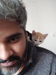 Just For Laughs. Kitten not harmed and not for sale.