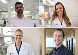 Differential experiences and outcomes of patients seeking or receiving care; Success For Unsw Researchers In Cancer Council Funding Round Unsw Newsroom