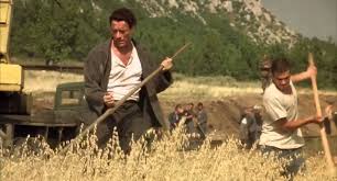 Salvaje 2003 Trailer Official Hd Van Damme Youtube