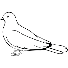 Black And White Pigeon Drawing Image Result For Black And White Clip Art Of Pigeon Clip Art Black And White Art