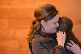 F1b generation labradoodle puppies born june 18 making them ready august 14 depending. Chocolate Labradoodle Puppies