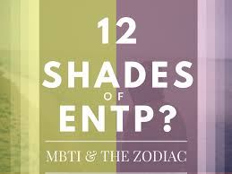 12 Shades Of Entp Mbti The Zodiac Astroligion Com