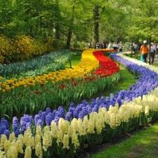 A must see attraction for the spring! 54 Holland Tulip Festival Ideas Tulip Festival Holland Holland Michigan