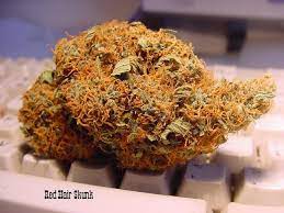 Mexican Red Hair Medical Marijuana Strains