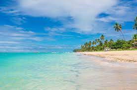 Hoy, solo las costas de presidente intercontinental y fiesta americana villas se encuentran libres de sargazo. Las Mejores Playas Del Norte De Brasil Avantripero El Blog De Avantrip