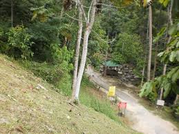 Tidak sedikit wisatawan yang meminum langsung air dari alam ini. Air Terjun Tengkek Off Kampung Guntur Mapio Net