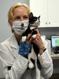 Davis hospital and medical center, the weber campus , is a 16,000 square foot healthcare facility, located in roy, ut. It S A Dream Animal Hospital Expands To Dover