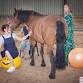 HorseSense Networking event image