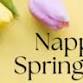 NAPPANEE SPRING VENDOR MARKET event in Nappanee, IN
