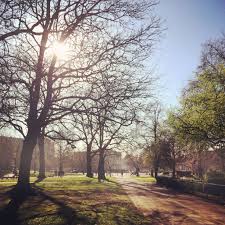 London In The Sun On A Bright Afternoon In Hyde Park 11 C I 52 F Burberryweather