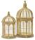 Birdcage Drawing